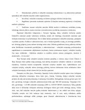 Valstybės tarnyba referatas 3 puslapis