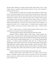 Valstybės tarnyba referatas 6 puslapis