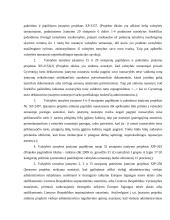 Valstybės tarnyba referatas 9 puslapis