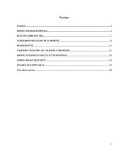 Gamybinės praktikos apžvalga: viešųjų ryšių UAB "Integrity PR" 2 puslapis