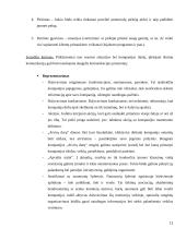 Gamybinės praktikos apžvalga: viešųjų ryšių UAB "Integrity PR" 12 puslapis