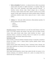 Gamybinės praktikos apžvalga: viešųjų ryšių UAB "Integrity PR" 13 puslapis
