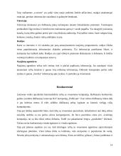 Gamybinės praktikos apžvalga: viešųjų ryšių UAB "Integrity PR" 14 puslapis