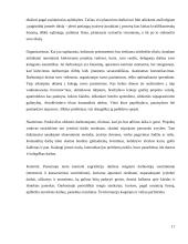 Gamybinės praktikos apžvalga: viešųjų ryšių UAB "Integrity PR" 17 puslapis