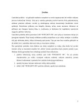 Gamybinės praktikos apžvalga: viešųjų ryšių UAB "Integrity PR" 3 puslapis