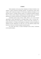 Technologinio proceso schemos sudarymas ir įrenginių parinkimas 2 puslapis