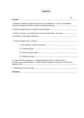 Gamybinės praktikos ataskaita: Alytaus aplinkos apsaugos departamentas 2 puslapis