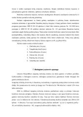 Gamybinės praktikos ataskaita: Alytaus aplinkos apsaugos departamentas 15 puslapis