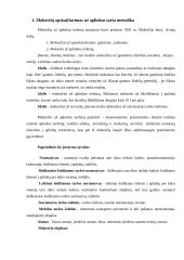 Gamybinės praktikos ataskaita: Alytaus aplinkos apsaugos departamentas 6 puslapis