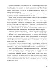 Teisės ir įstatymo santykis 9 puslapis