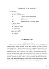 Gamybinės praktikos ataskaita: autoservisas UAB "Armi" 4 puslapis