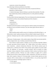 Gamybinės praktikos ataskaita: autoservisas UAB "Armi" 8 puslapis