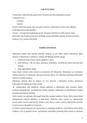 Gamybinės praktikos ataskaita: autoservisas UAB "Armi" 9 puslapis