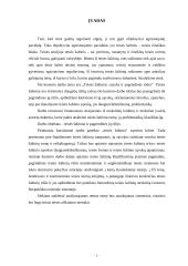 Teisės šaltiniai: sąvoka ir pagrindinės rūšys 3 puslapis