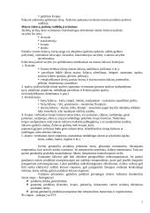 Gamybinės praktikos ataskaita: įmonė "Fazer kepykla" ir Raseinių rajono valstybinė maisto ir veterinarijos tarnyba 7 puslapis