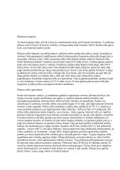 Gamybinės praktikos ataskaita: konditerijos cechas 11 puslapis