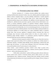 Kovos su terorizmu tarptautinio teisinio reguliavimo problemos 4 puslapis