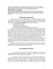 Gamybinės praktikos ataskaita: rąstinių namų statyba UAB "Minduvos statyba" 7 puslapis