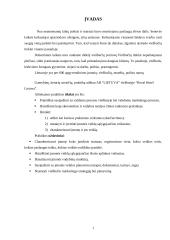 Gamybinės praktikos ataskaita: viešbutis "Reval Hotel Lietuva" AB "Lietuva" 2 puslapis