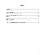 Tiesines elektros grandinės pereinamųjų procesų skaičiavimas 2 puslapis