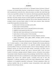 Tiesioginės užsienio investicijos ir jų būtinumas Lietuvai 2 puslapis