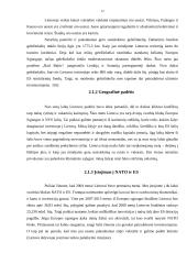 Tiesioginės užsienio investicijos ir jų būtinumas Lietuvai 11 puslapis