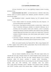 Tiesioginės užsienio investicijos ir jų būtinumas Lietuvai 12 puslapis