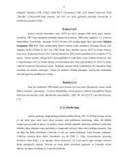 Tiesioginės užsienio investicijos ir jų būtinumas Lietuvai 13 puslapis
