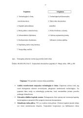 Tiesioginės užsienio investicijos ir jų būtinumas Lietuvai 16 puslapis