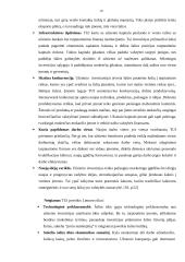 Tiesioginės užsienio investicijos ir jų būtinumas Lietuvai 17 puslapis