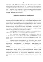 Tiesioginės užsienio investicijos ir jų būtinumas Lietuvai 19 puslapis