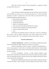 Tiesioginės užsienio investicijos ir jų būtinumas Lietuvai 20 puslapis