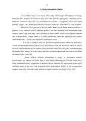 Tiesioginės užsienio investicijos ir jų būtinumas Lietuvai 9 puslapis