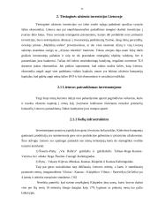 Tiesioginės užsienio investicijos ir jų būtinumas Lietuvai 10 puslapis