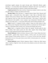 Gėlininkystes praktikos ataskaita KVK Technologijų fakultete 7 puslapis