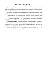 Gėlininkystes praktikos ataskaita KVK Technologijų fakultete 9 puslapis