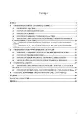 Tiesioginės užsienio investicijos Lietuvoje, Latvijoje, Estijoje. Tendencijų analizė 2 puslapis