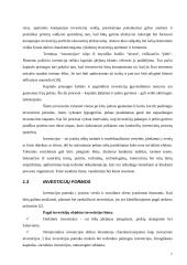 Tiesioginės užsienio investicijos Lietuvoje, Latvijoje, Estijoje. Tendencijų analizė 8 puslapis