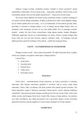 Tikroji žmogaus būtis kaip laisvė ir atsakomybė 17 puslapis