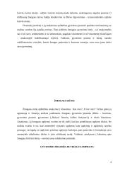 Tikroji žmogaus būtis kaip laisvė ir atsakomybė 4 puslapis