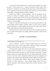 Tikroji žmogaus būtis kaip laisvė ir atsakomybė 5 puslapis