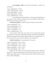 Kompiuterizuotas modeliavimas: AB "Ugnelė" 12 puslapis