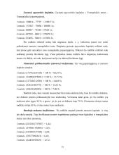 Kompiuterizuotas modeliavimas: AB "Ugnelė" 13 puslapis