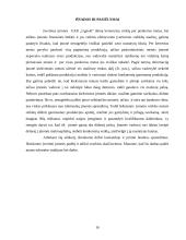 Kompiuterizuotas modeliavimas: AB "Ugnelė" 16 puslapis