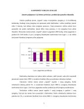 Kompiuterizuotas modeliavimas: AB "Ugnelė" 5 puslapis