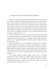 Totalitarizmas ir jo ideologijos Europoje 14 puslapis