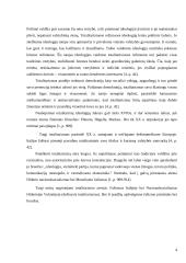 Totalitarizmas ir jo ideologijos Europoje 4 puslapis