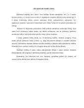 Kompiuterizuoto įmonės veiklos modeliavimo praktikos ataskaita: šildymo katilų gamyba UAB "Šiluma" 14 puslapis