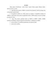 Kompiuterizuoto įmonės veiklos modeliavimo praktikos ataskaita: šildymo katilų gamyba UAB "Šiluma" 3 puslapis