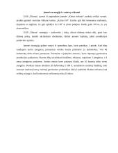 Kompiuterizuoto įmonės veiklos modeliavimo praktikos ataskaita: šildymo katilų gamyba UAB "Šiluma" 4 puslapis